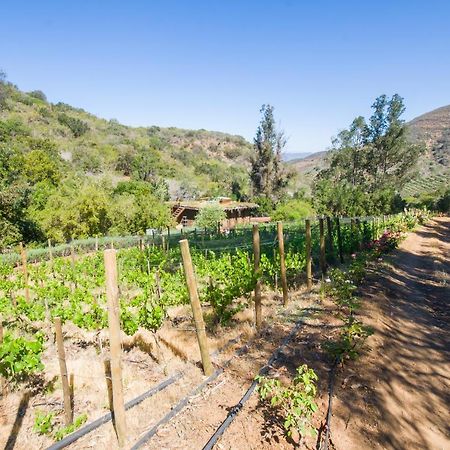 Cabana Con Tinaja En Vina Narbona Wines Bed & Breakfast Quillota Exterior photo