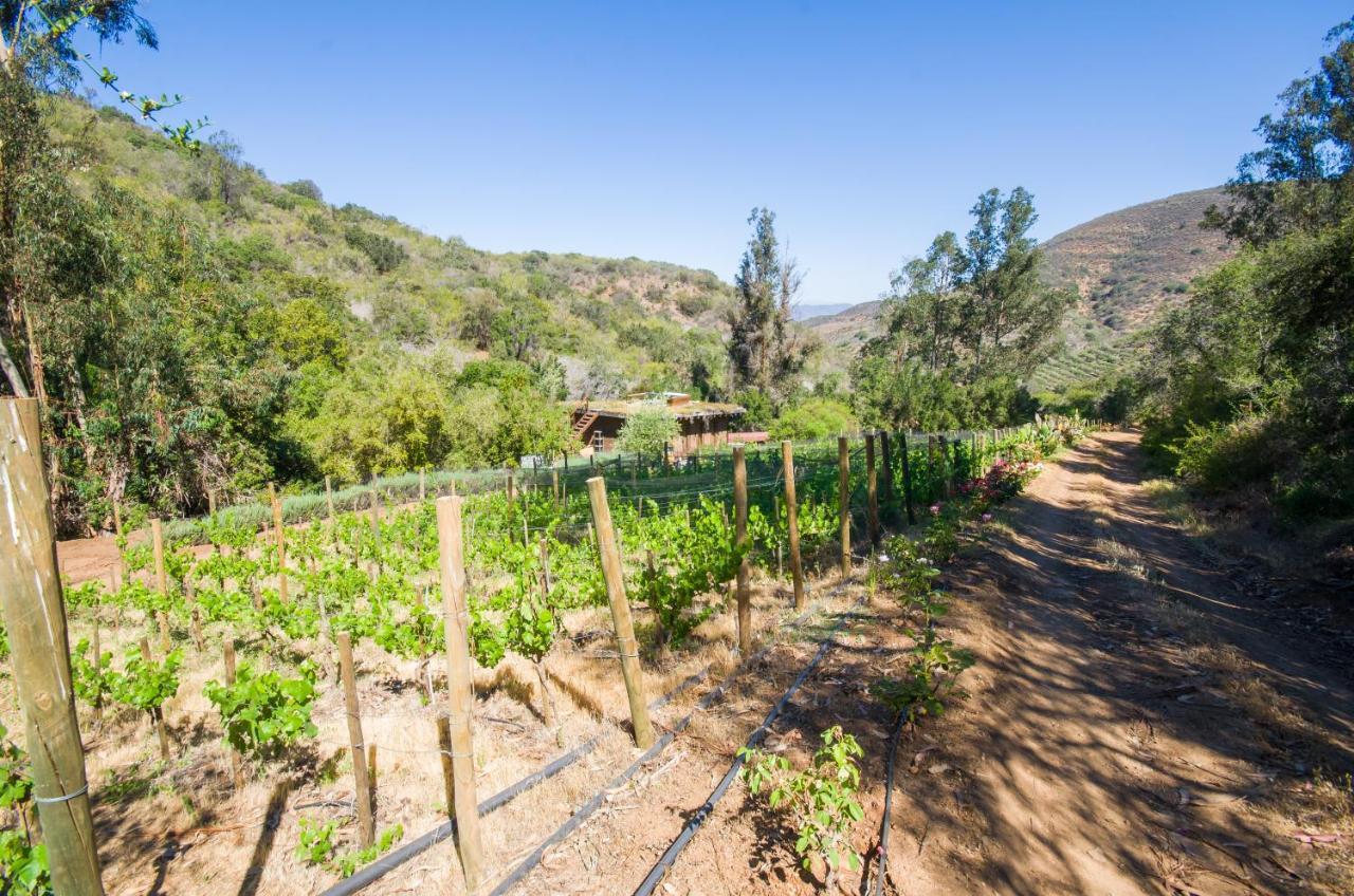 Cabana Con Tinaja En Vina Narbona Wines Bed & Breakfast Quillota Exterior photo